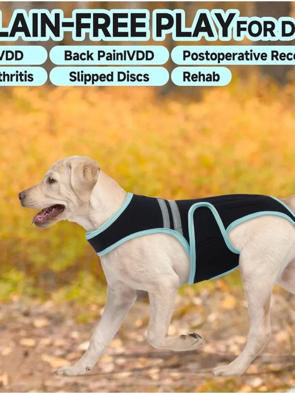 Dog Recovery Suit Back Brace- Black with Light Blue Trim Sz Small